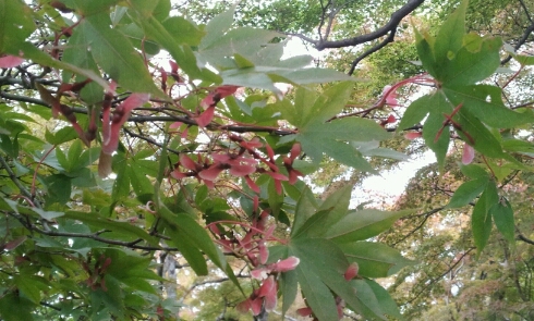 e0126094_12432894.jpg