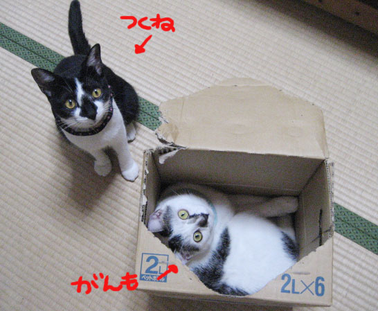 d0071596_2214233.jpg