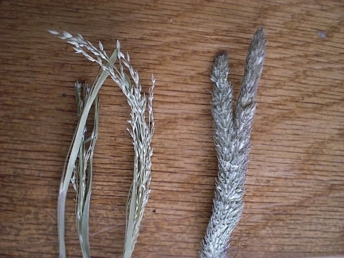 c0241498_2383144.jpg