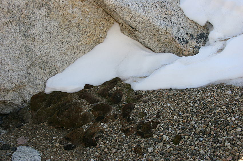 c0193901_16171155.jpg