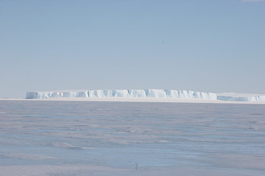 c0193901_1644457.jpg