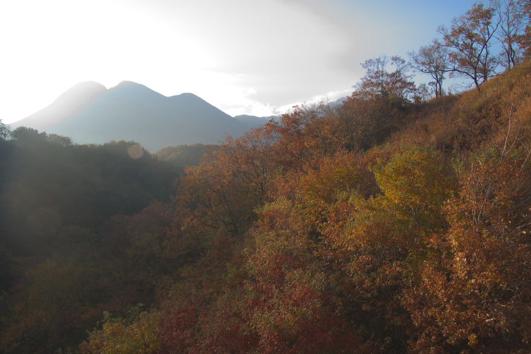 紅葉　九重～祖母～延岡_f0130601_18385878.jpg