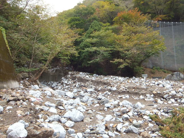 a0271502_18443985.jpg