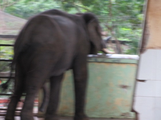 b0127002_2324637.jpg