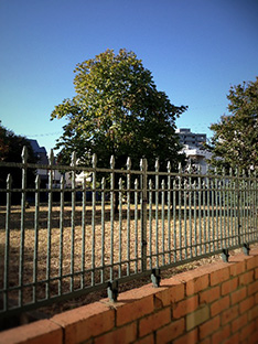 d0178602_11554797.jpg