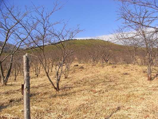 f0187402_20155727.jpg