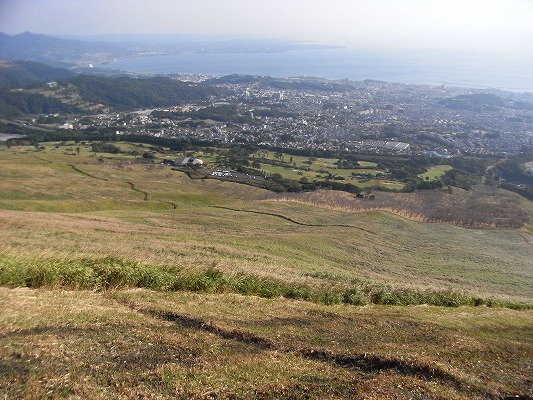 f0187402_2016135.jpg