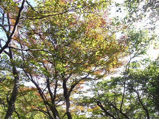f0187402_20163183.jpg