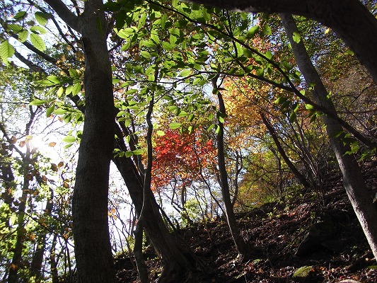f0187402_20164745.jpg