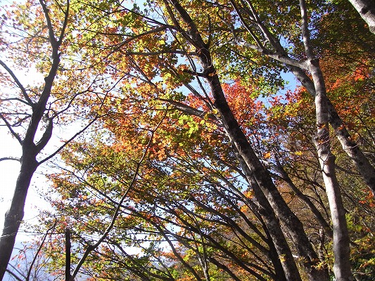 f0187402_2017444.jpg