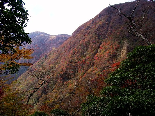 f0187402_20174668.jpg