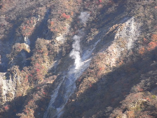 f0187402_20182723.jpg