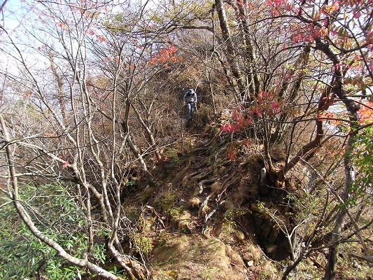 f0187402_2018376.jpg