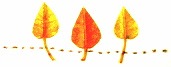 a0123003_1014855.jpg