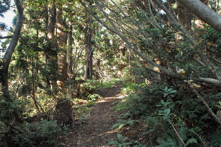 b0215304_16475524.jpg
