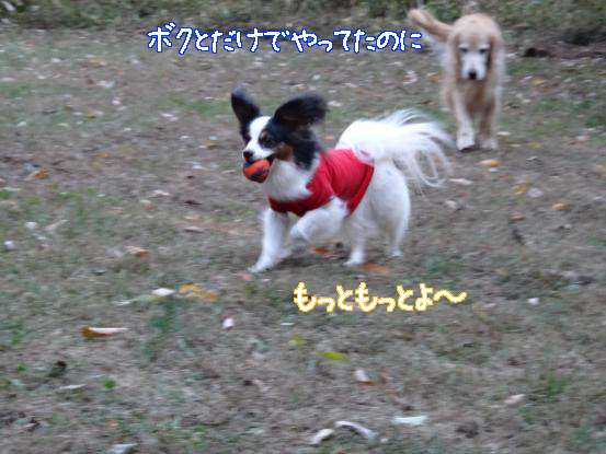 f0064906_1785489.jpg
