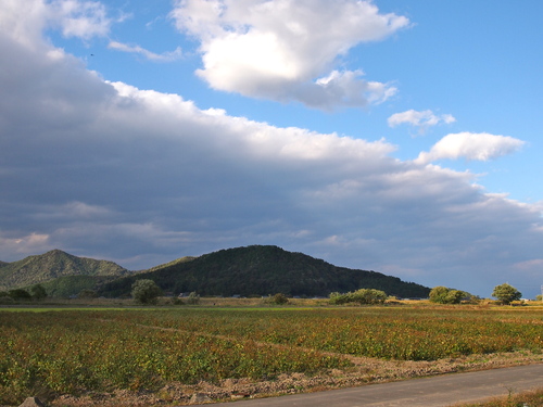 a0230008_13211330.jpg