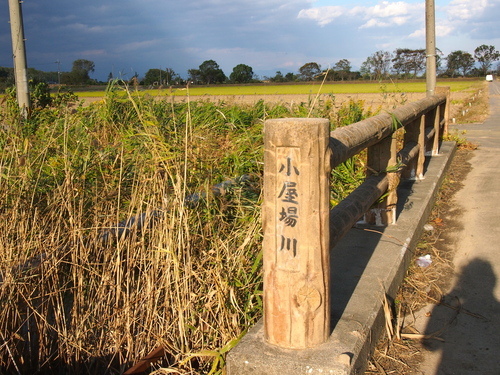 a0230008_13222454.jpg