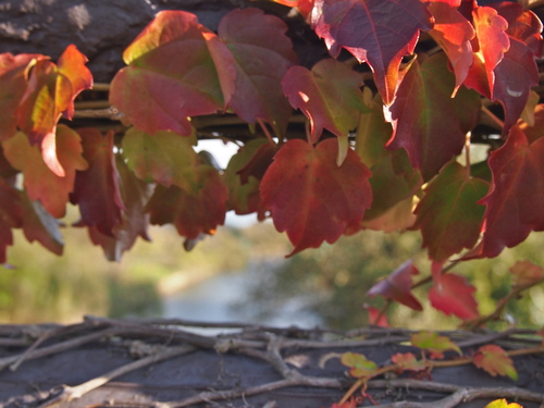 a0230008_1322311.jpg