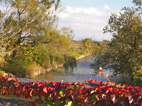 a0230008_1322667.jpg