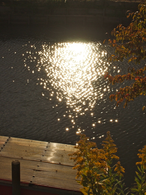 a0230008_13254440.jpg
