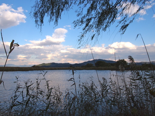 a0230008_1401124.jpg