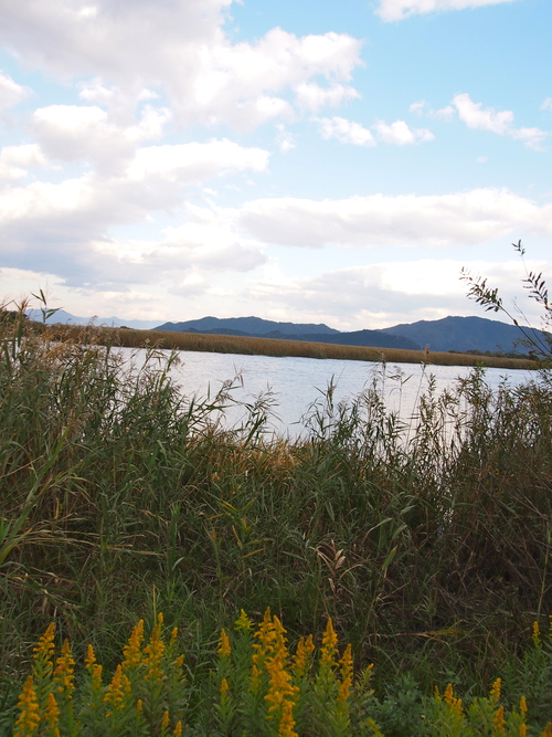 a0230008_1415983.jpg