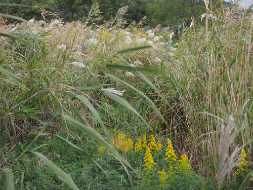 a0230008_20228.jpg