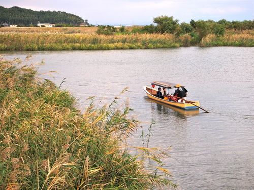 a0230008_2121899.jpg