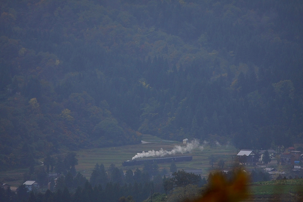 雨の日、里の秋 - 2012年秋・飯山線 - _b0190710_2284859.jpg