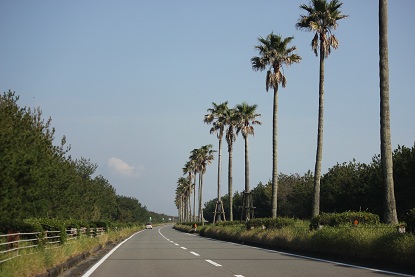 c0090212_22165665.jpg