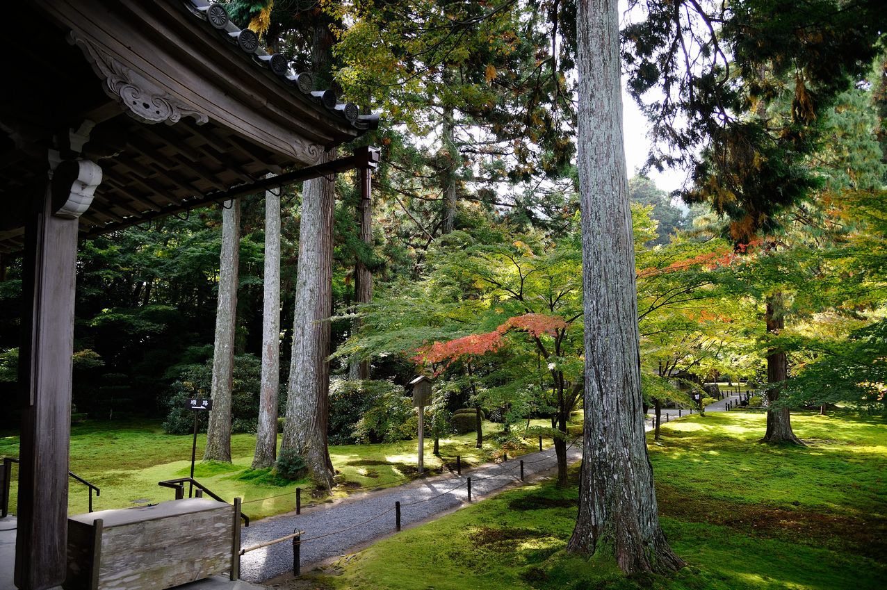 京都　大原三千院_b0260713_20523529.jpg