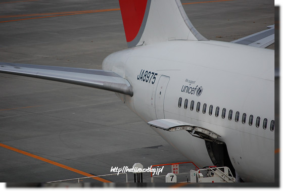 a0114514_19531738.jpg