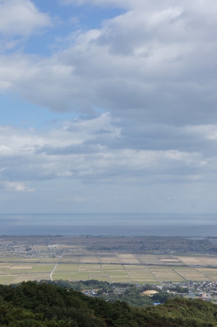 f0143119_2034351.jpg