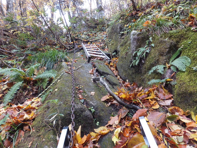 c0141223_20151164.jpg