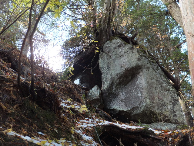 c0141223_2018846.jpg