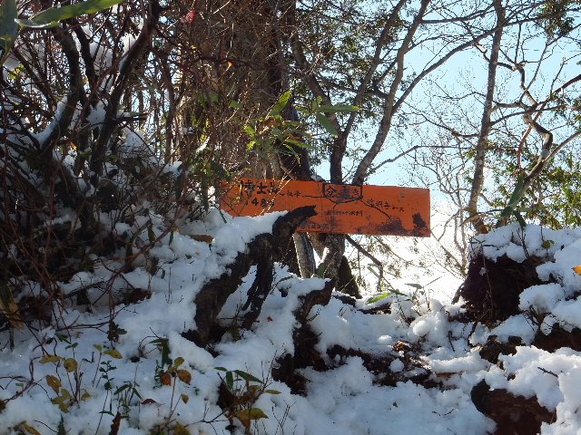 c0141223_2022657.jpg