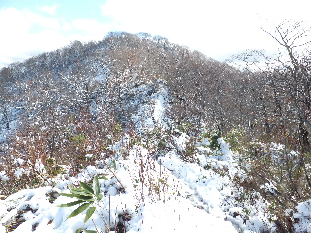 c0141223_2038543.jpg