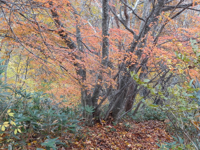 c0141223_20483323.jpg