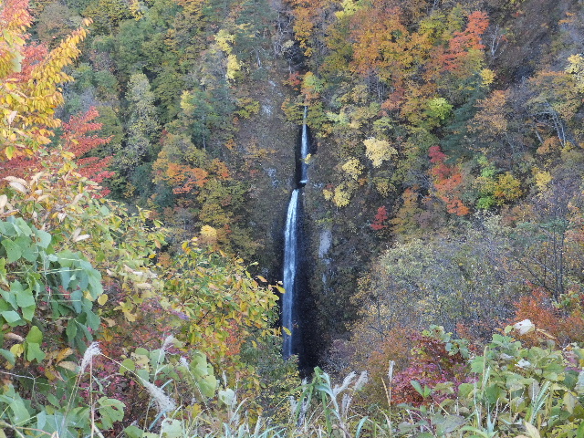 c0141223_20533354.jpg