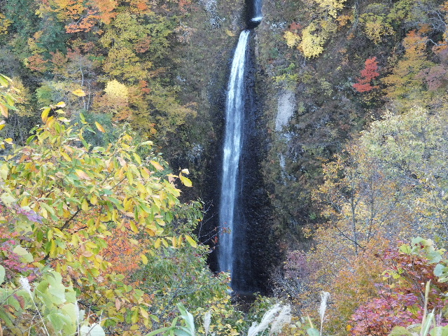 c0141223_2055474.jpg