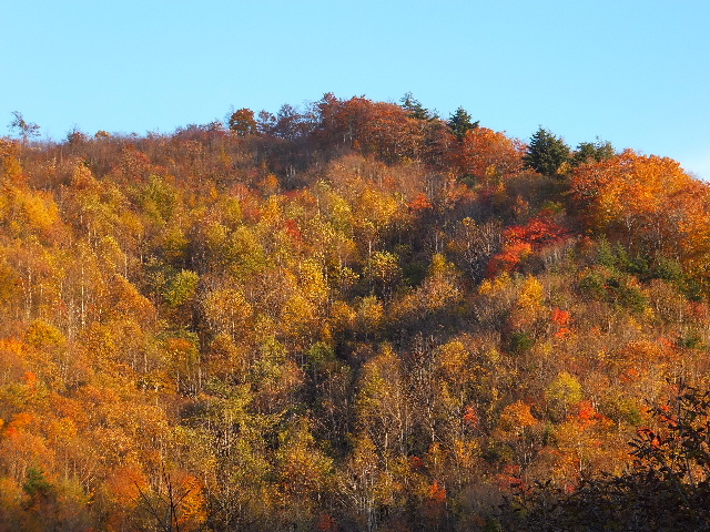c0141223_20573454.jpg