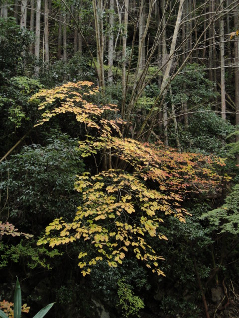c0189724_19142031.jpg