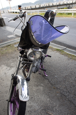 a0222229_229140.jpg