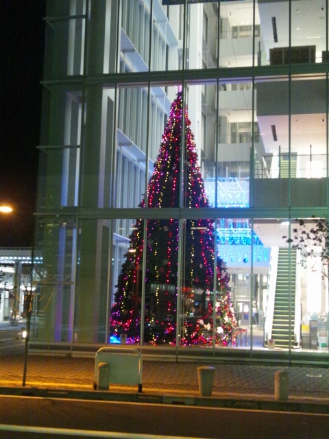 b0097729_3314648.jpg