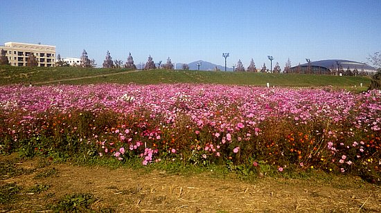 キス＆ハゼ釣りへGO!_c0158029_2065245.jpg