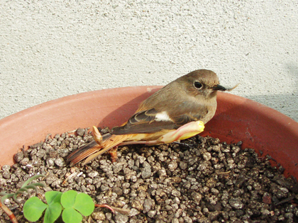a0114330_2324492.jpg