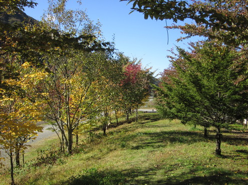 韮崎市～北杜市白州町・小淵沢町～長野県諏訪郡富士見町へ_a0291132_12414135.jpg