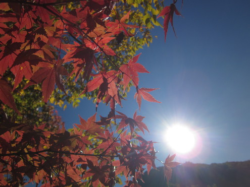 韮崎市～北杜市白州町・小淵沢町～長野県諏訪郡富士見町へ_a0291132_1242642.jpg