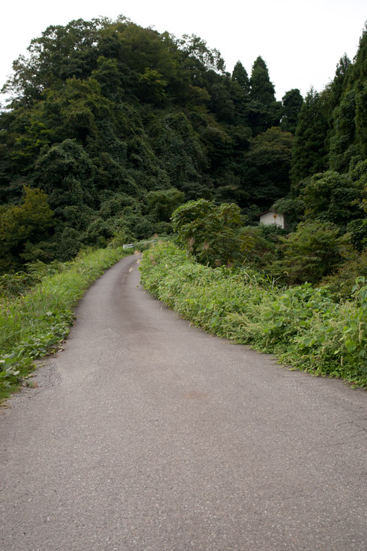 b0177233_736196.jpg